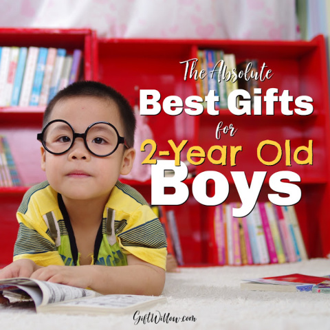 The Best GIfts for 2 Year Old Boys SQ480